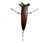 AgrandarImgen