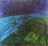 AgrandarImgen