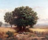 AgrandarImgen