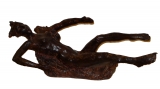 AgrandarImgen