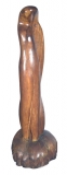 AgrandarImgen